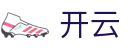 开云APP体育娱乐-下载官方APP手机电竞赛事投注